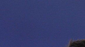 Messi ha estado lesionado desde el 5 de agosto