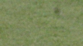 Los ‘ciudadanos’ arrancan su andar con su primer duelo de visita al Shakhtar