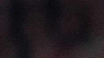 Edson Álvarez marcó gol y jugó bien a la ofensiva, contra todos los pronósticos de Ronald de Boer.