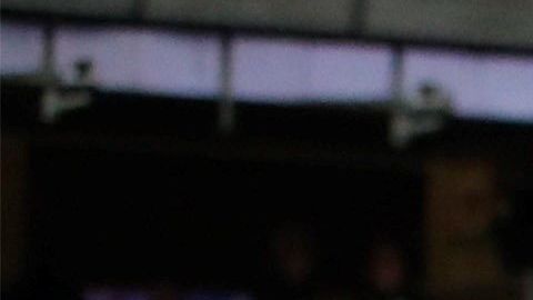 Los Yankees volvieron a ganar el título de la División Este de la Liga Americana después de 7 años.