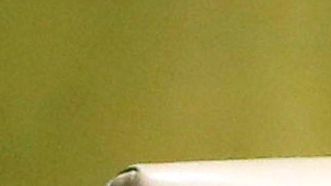 Bolsonaro en la ONU.