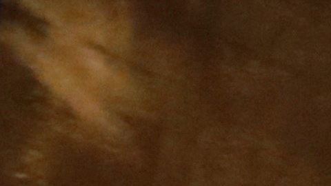 Trump llamó al paso adelante de los demócratas "caza de brujas" y "acoso presidencial".