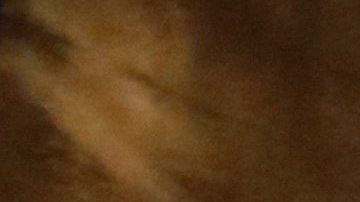 El presidente Donald Trump.