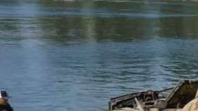 Además de este Corvette amarillo, se encontró un Beetle y un Jaguar