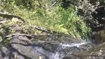 La joven se resbala mientras se encuentra parada al filo de una piedra.