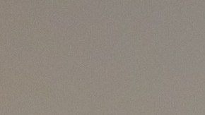 El congresista Adriano Espaillat habla sobre el Censo 2020 en el foro de Univision 41.