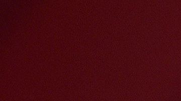 Aunque no se puede saber si el canal esta monetizado, se estima que los ingresos que obtendría por publicidad serían muy buenos.