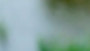 Estas apps te dan dinero por caminar o sólo por ver qué ves en tu teléfono.