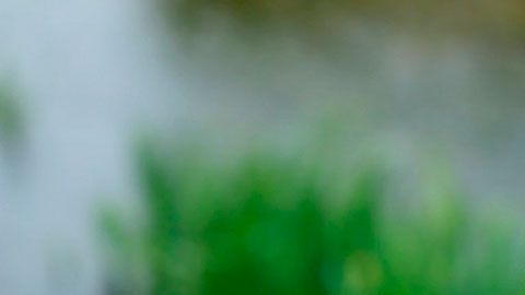 Estas apps te dan dinero por caminar o sólo por ver qué ves en tu teléfono.