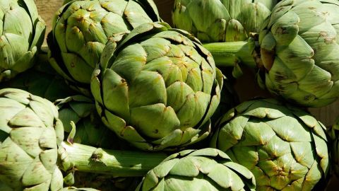 entre las principales propiedades de este remedio natural se encuentran sus beneficios: digestivos, excesos de ácido úrico, gota, reumas, cálculos en la vesícula biliar y padecimientos renales.