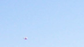 El medio ambiente sufre con Trump.