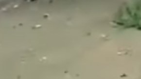 Las autodefensas pelean contra narcotraficantes sin darles tregua.