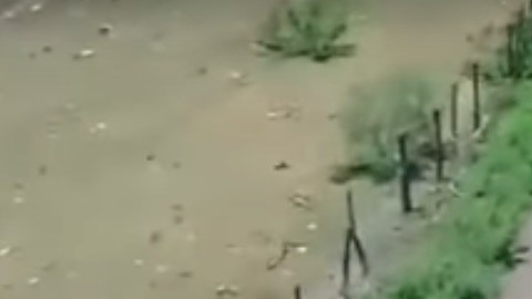 Las autodefensas pelean contra narcotraficantes sin darles tregua.