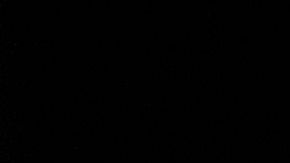 Los Bravos de Atlanta mostraron la mejor cara de la Major League Baseball.