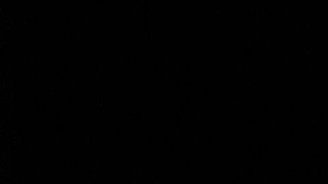 Los Bravos de Atlanta mostraron la mejor cara de la Major League Baseball.