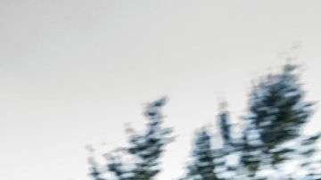 ¿Listo para acelerar a fondo?