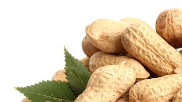 Los cacahuates tienen un alto contenido en arginina un potente antioxidante que destaca por su maravilloso aporte para fortalecer el sistema inmunológico.