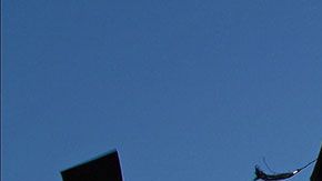 Estas carreras tienen bajos niveles de desempleo y muy buenos sueldos.