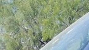 Cuatro del Cártel del Noreste dejaron bañada en sangre su troca tras retar a policías