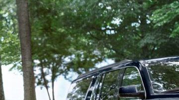 La más utilizada cada año.