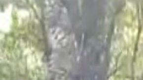 VIDEO: Grupo Pantera del CJNG amenaza a El Marro, aseguran que se apoderarán de Guanajuato