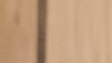 Claudia Romo Edelman, fundadora de We Are All Human, una organización sin ánimo de lucro dedicada a avanzar la agenda de diversidad, inclusión y equidad.