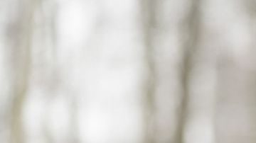 Los episodios de tristeza y depresión se incrementan en las personas sensibles a los días sin fuerte luz solar o a los de calor extremo.