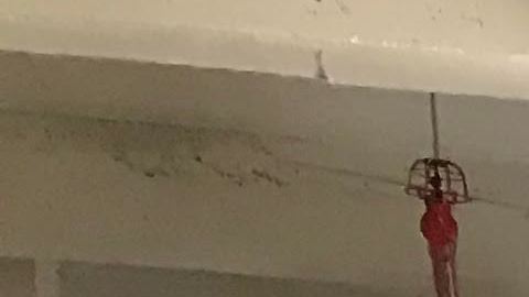 Asistentes reciben información durante la V Feria de Servicios del Consulado de Colombia, celebrada en octubre de 2018.