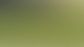 La pareja mexicana inició su relación en el 2017