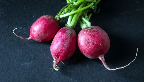 Los rábanos destacan por su alto contenido en vitamina A, C, zinc, fósforo y agua, por su parte el jugo de rábano promueve una piel más saludable e hidratada.