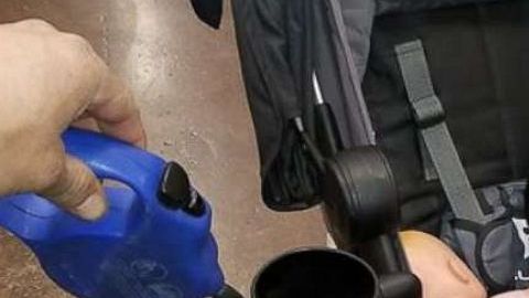 Perro sordo encontró el hogar ideal.