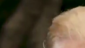 El presidente acusa a los demócratas de boicotear su proyecto del muro.