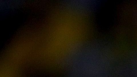 Kevin Durant, con el trofeo de 'MVP' de las Finales en su mano, celebra su primer campeonato de la NBA, la noche del lunes en Oakland.