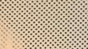 Allan Wernick, director de CUNY Citizenship Now!, destacando que en los 22 años que lleva el programa, han ayudado a más de 10,000 personas.