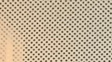 Allan Wernick, director de CUNY Citizenship Now!, destacando que en los 22 años que lleva el programa, han ayudado a más de 10,000 personas.