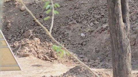 Solo puede apreciarse, de primera, un paraje lleno de tierra.