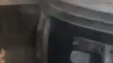 Un video documentó el momento del rescate.