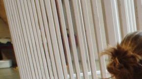 RAICES denuncia que la mujer no ha recibido atención médica adecuada.