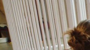 RAICES denuncia que la mujer no ha recibido atención médica adecuada.