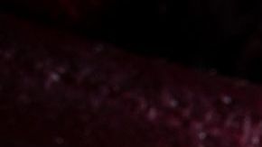 Flor de hibisco o jamaica