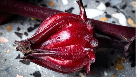 Flor de hibisco o jamaica