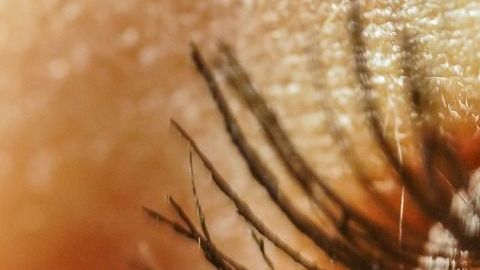eye-4367141_1280