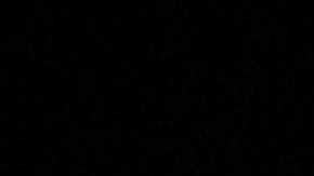 Falleció José José