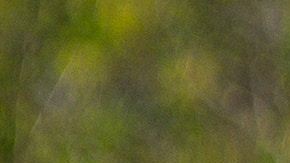 gesina-kunkel-zQcHszXX9g4-unsplash