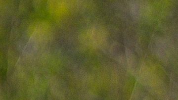 gesina-kunkel-zQcHszXX9g4-unsplash