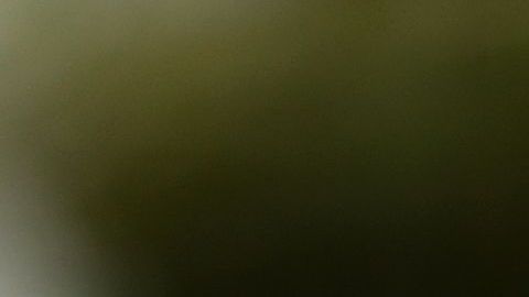 El gobernador Newsom firma una ley histórica para los trabajadores.