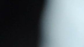 Foto de archivo de un perro pitbull.