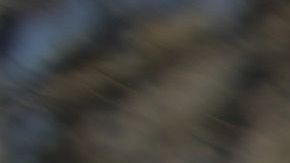 Venezolanos lamentan la crisis humanitaria que vive su país.