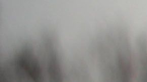 Se estima que los "tepesianos" aportan miles de millones de dólares a la economía del país.