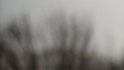 Se estima que los "tepesianos" aportan miles de millones de dólares a la economía del país.